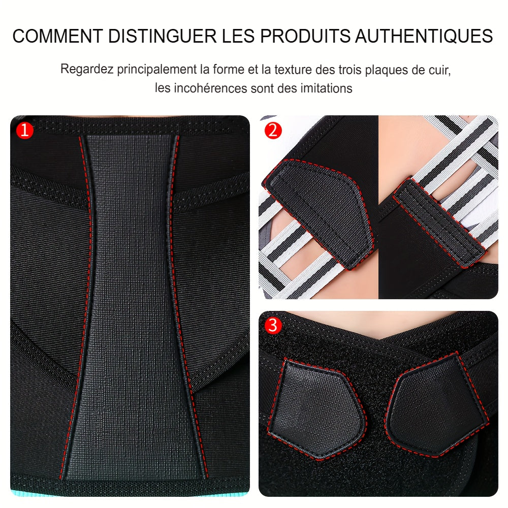 Ceinture de Soutien Postural FlexFit